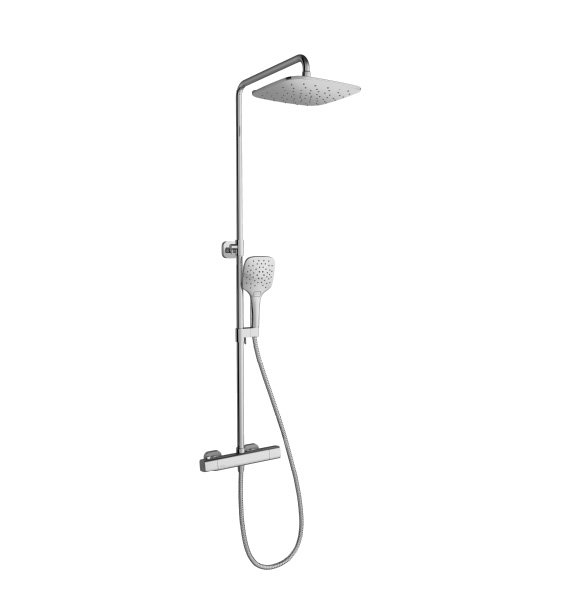 Dual shower systems